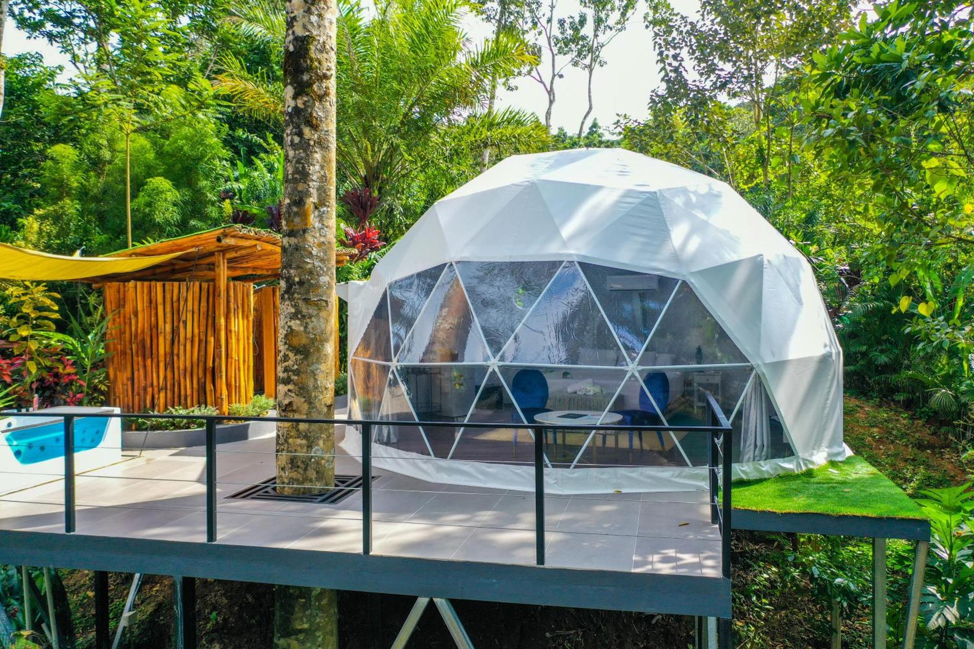 Palo Alto Glamping Hotel Quesada  외부 사진